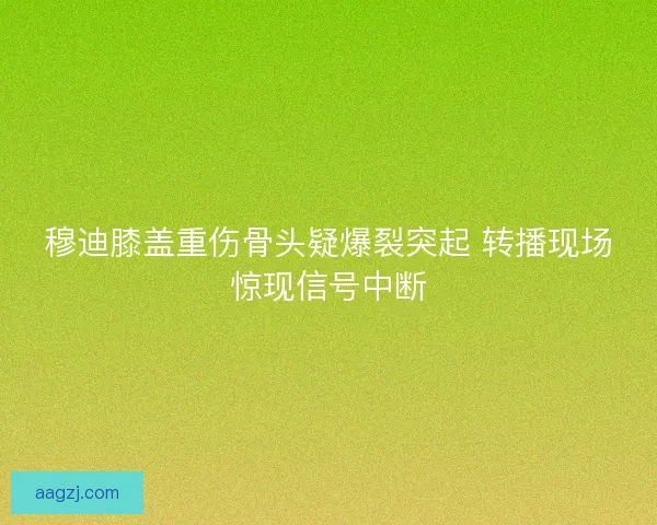 穆迪膝盖重伤骨头疑爆裂突起 转播现场惊现信号中断